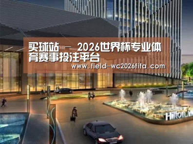 案例展示二
