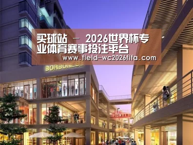 案例展示一