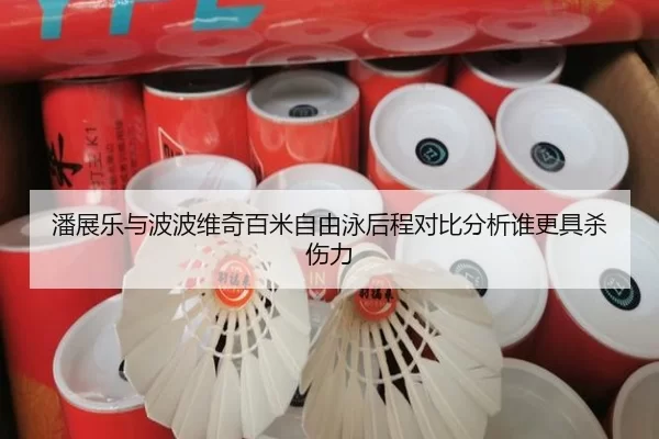 潘展乐与波波维奇百米自由泳后程对比分析谁更具杀伤力